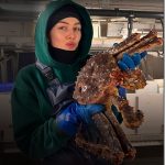 Алина Бурковски краболов